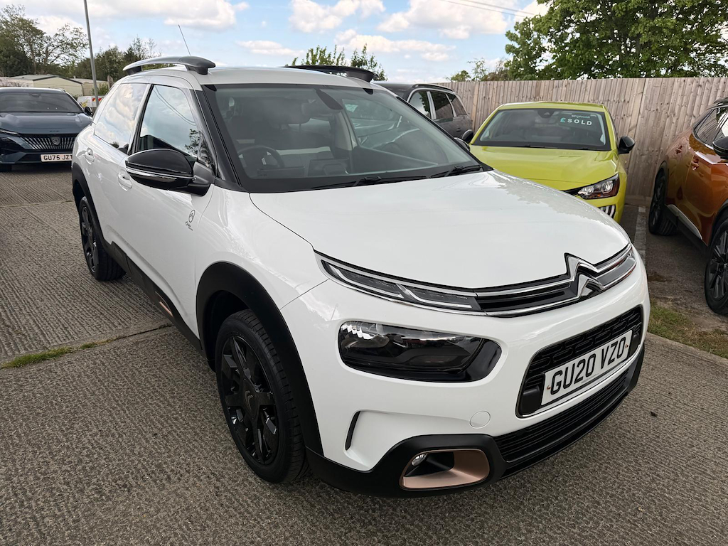 C4 Cactus