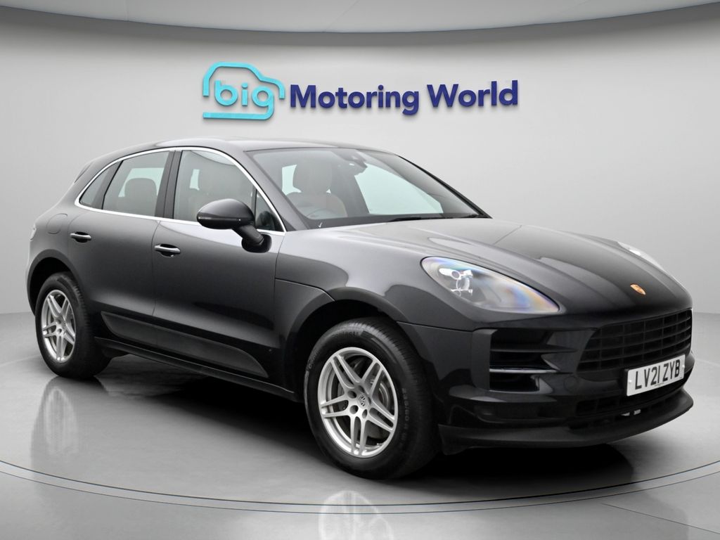 Macan