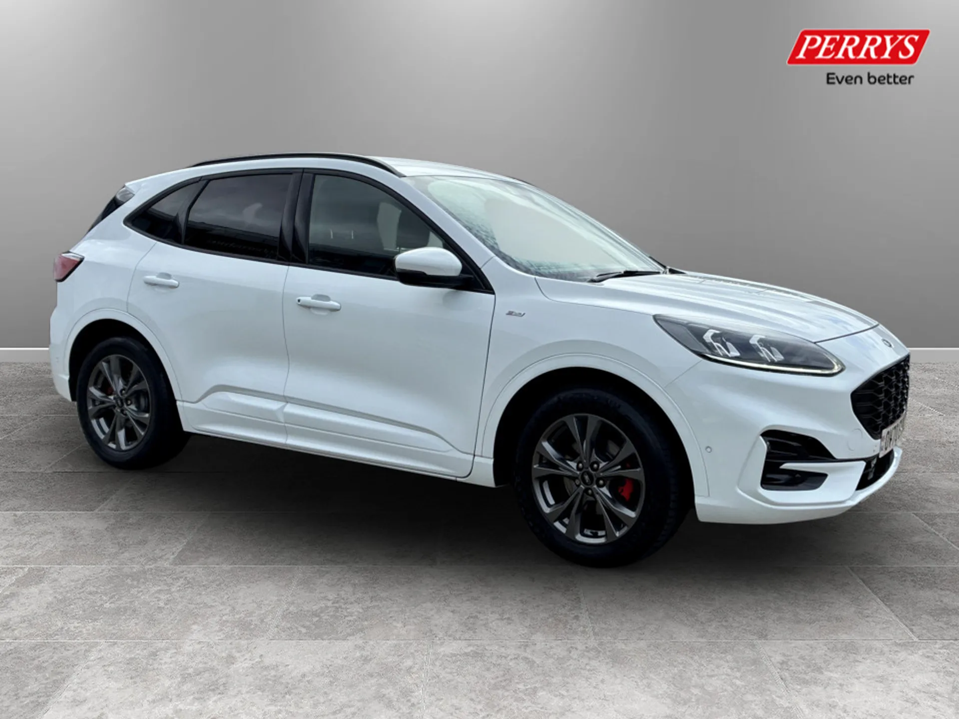 Kuga