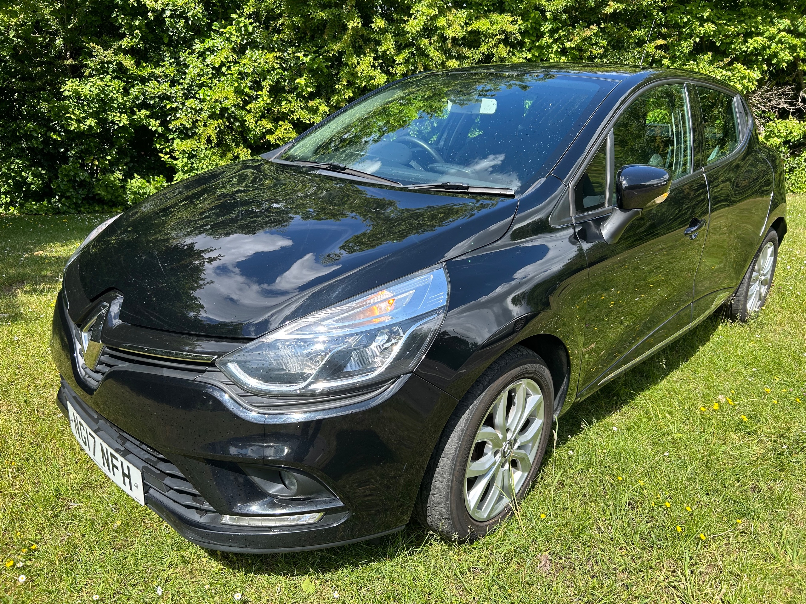 Clio