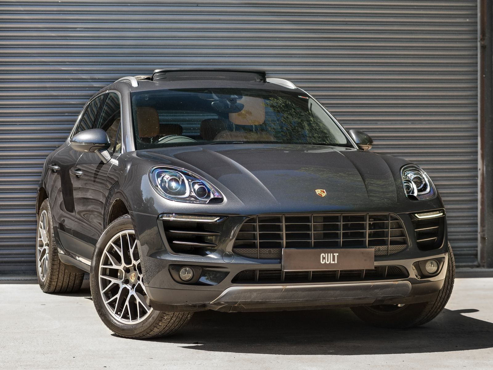 Macan