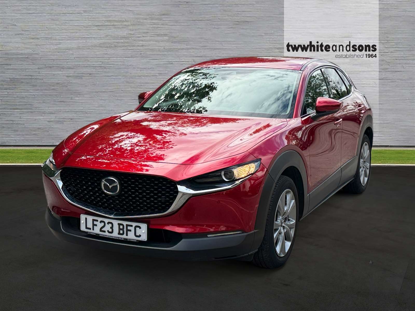 CX-30