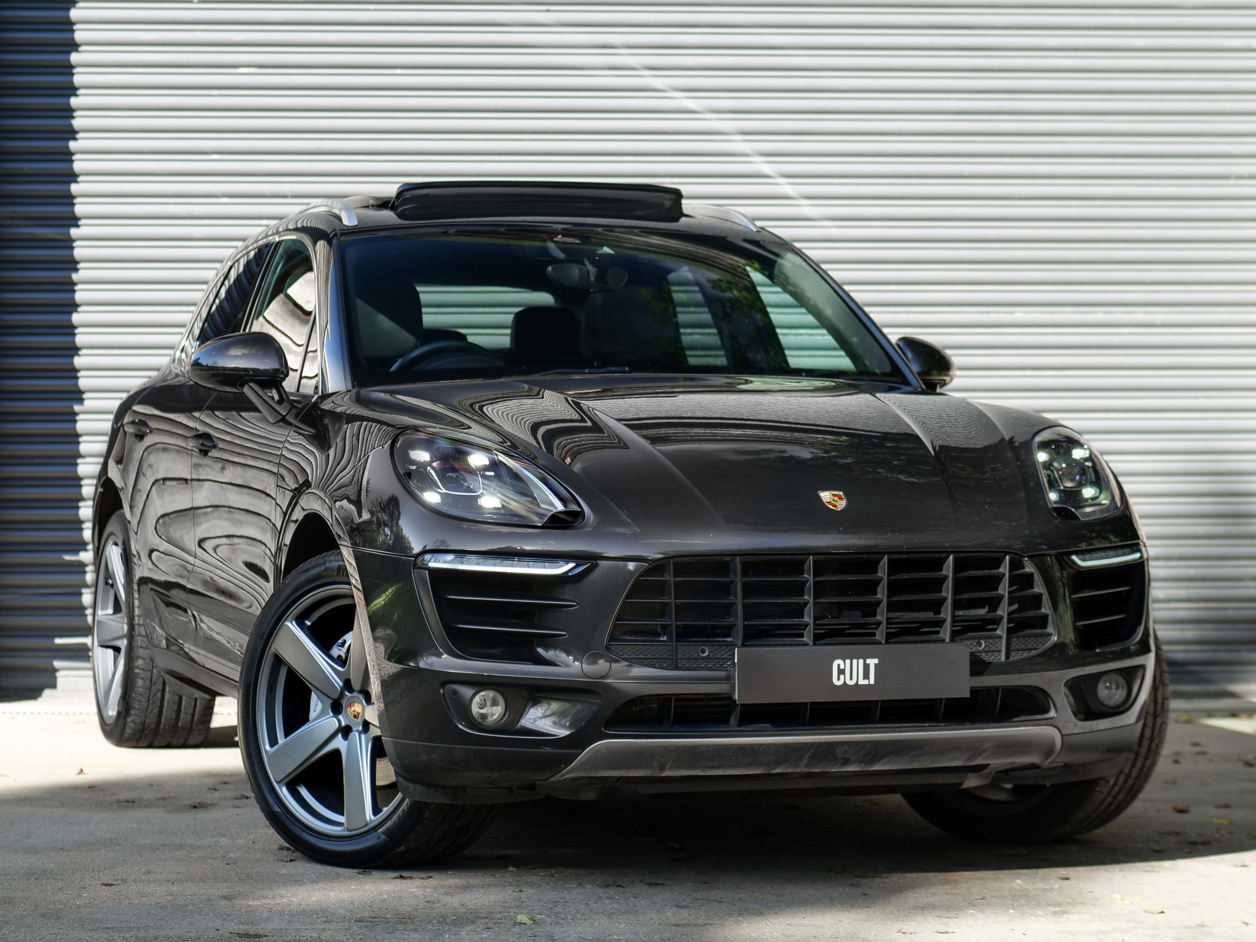 Macan