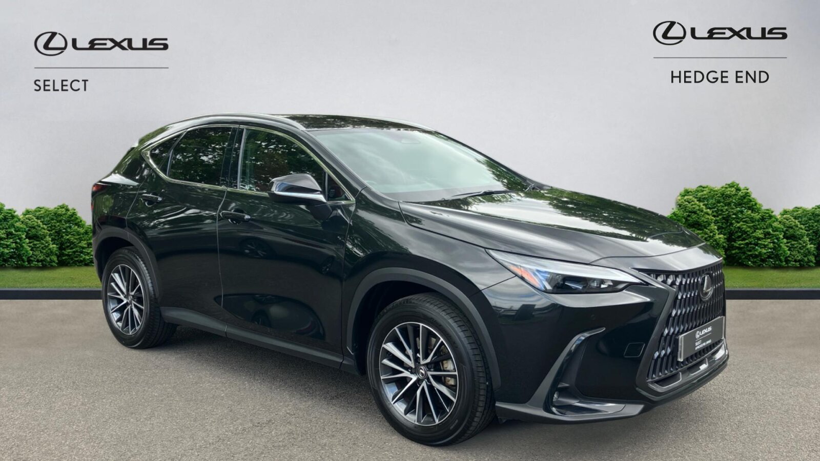 NX Hybrid