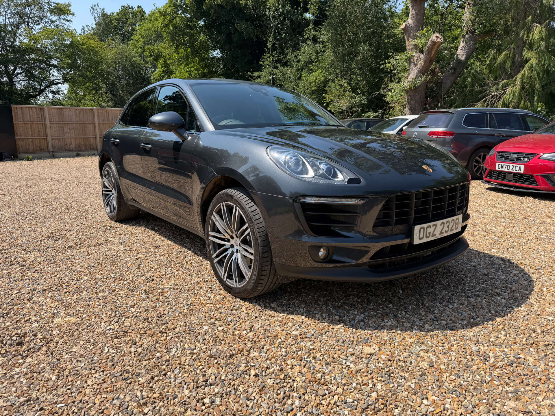 Macan