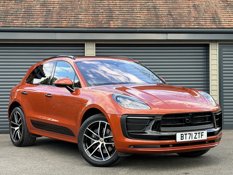 Macan