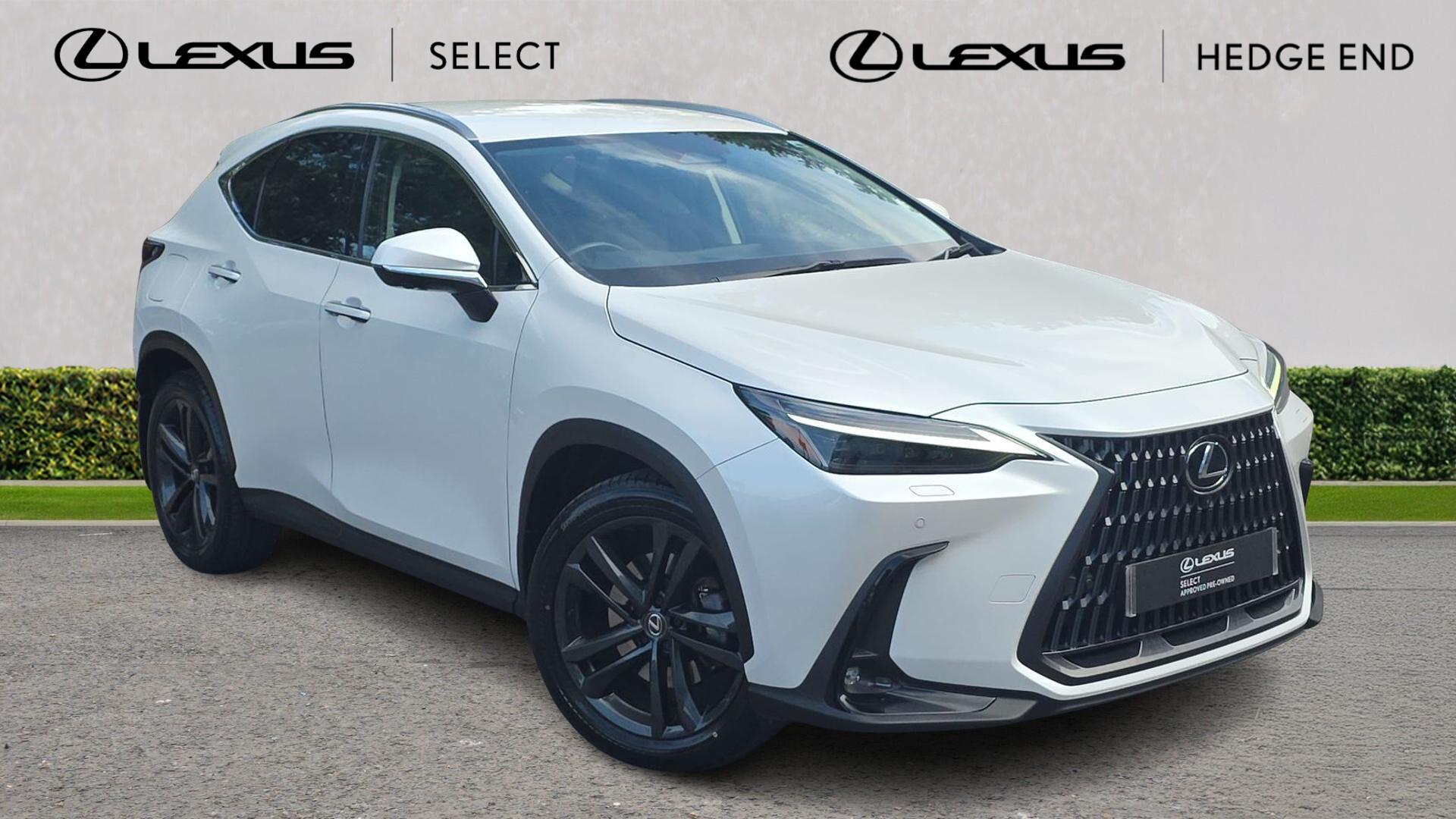 NX Hybrid