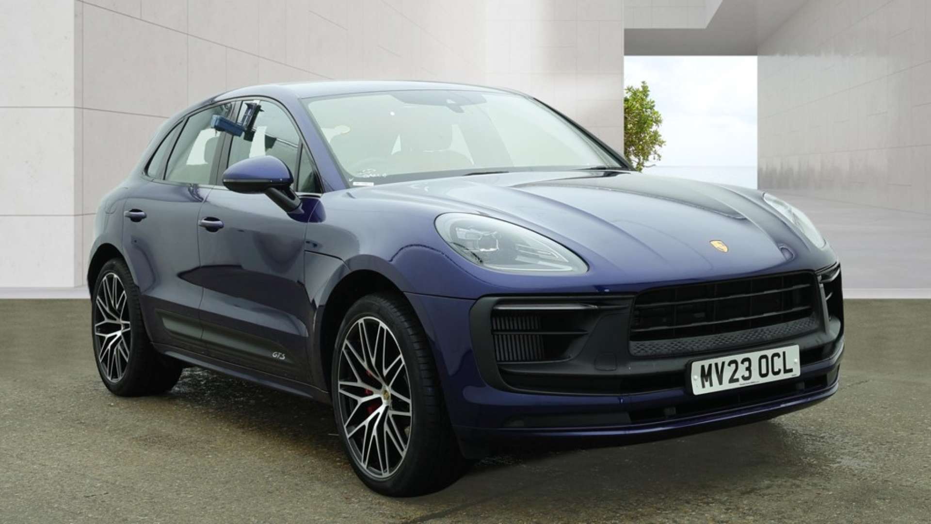 Macan