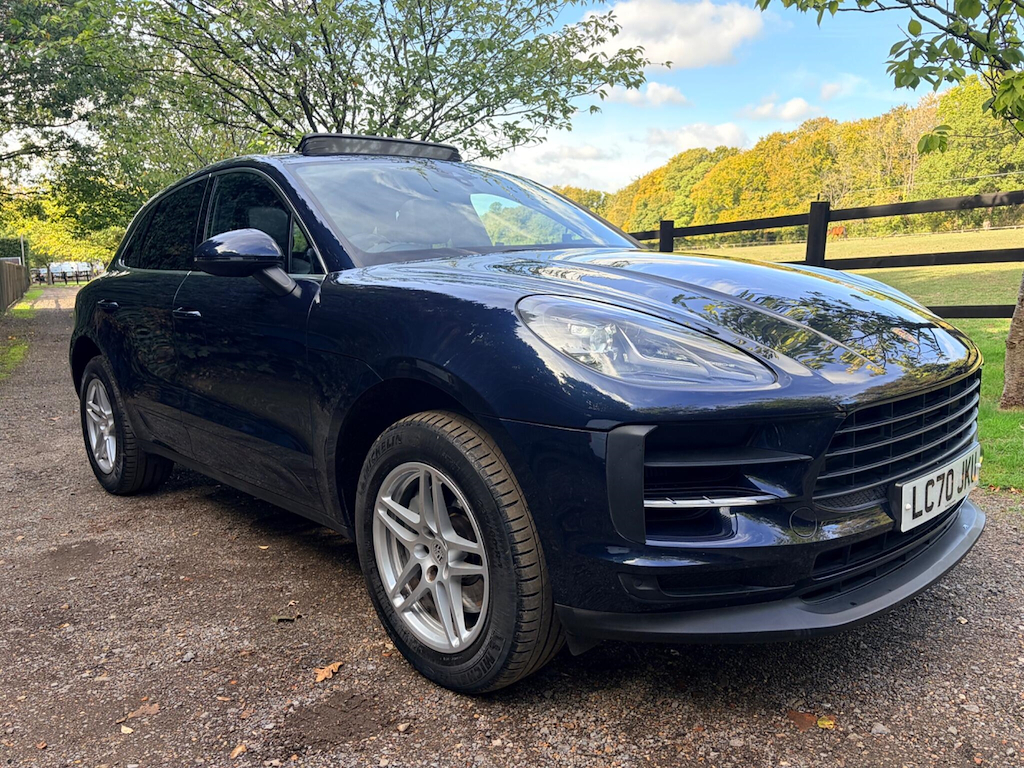 Macan