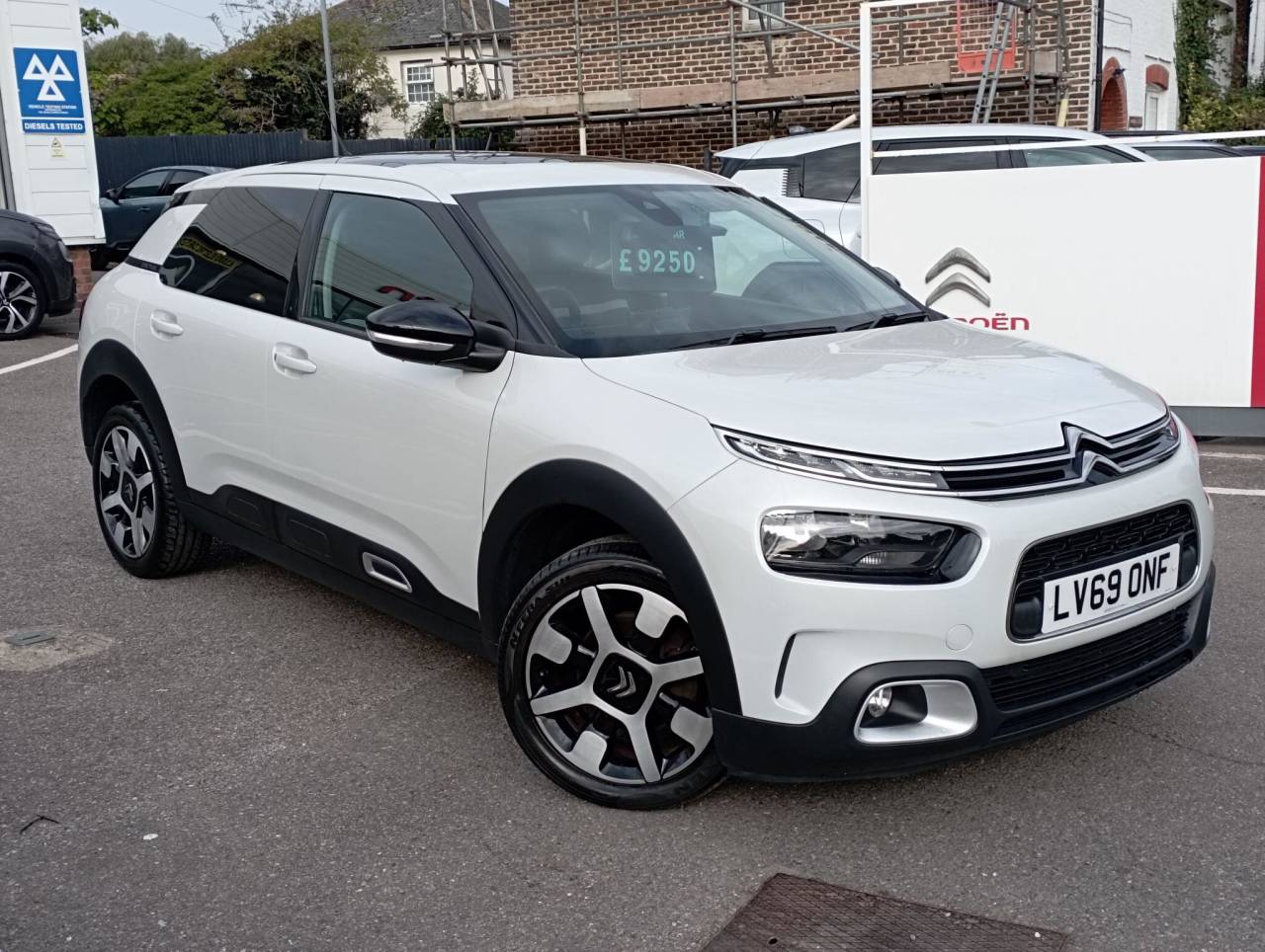 C4 Cactus