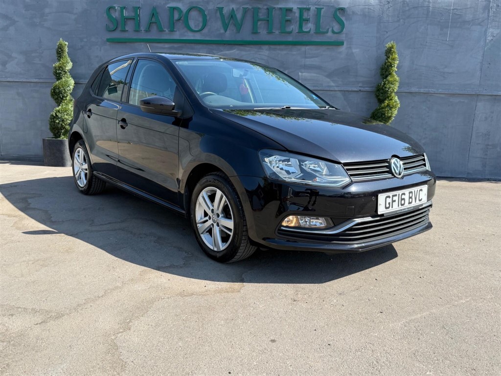 Polo