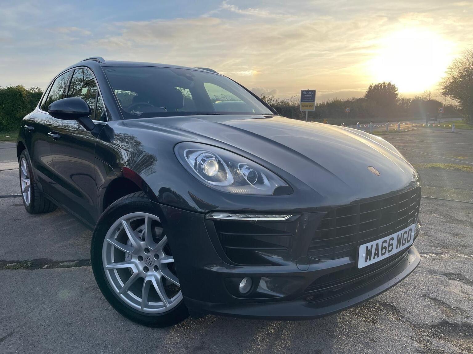 Macan