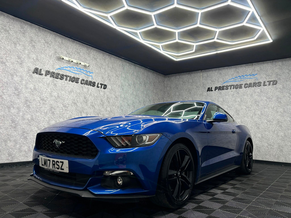 Mustang