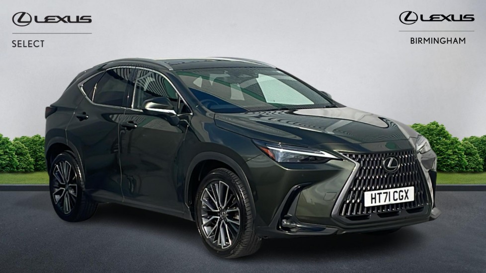 NX Hybrid