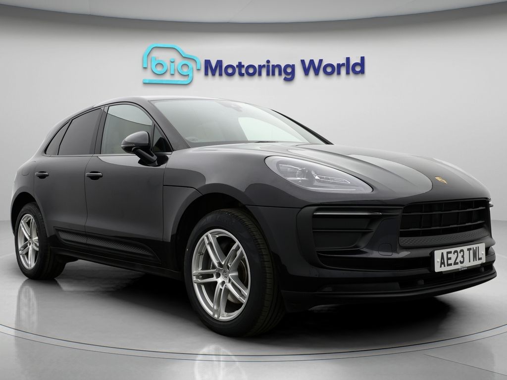 Macan