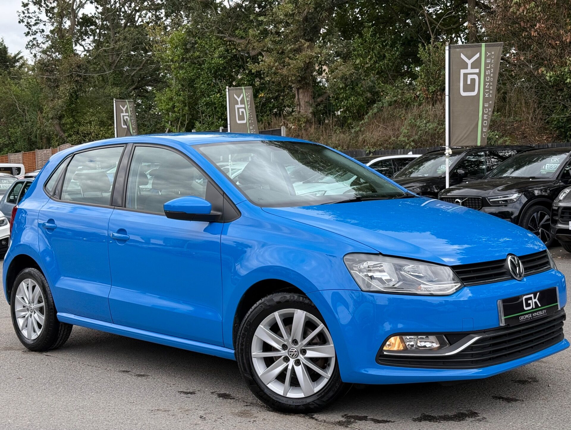 Polo