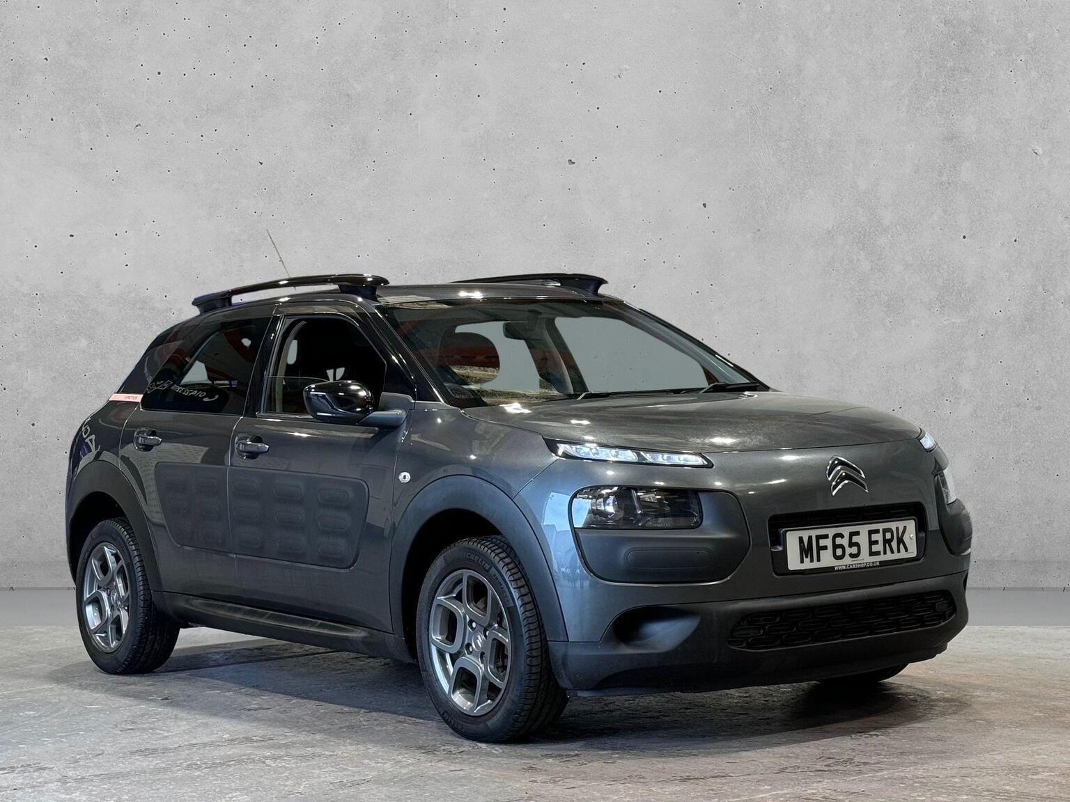C4 Cactus