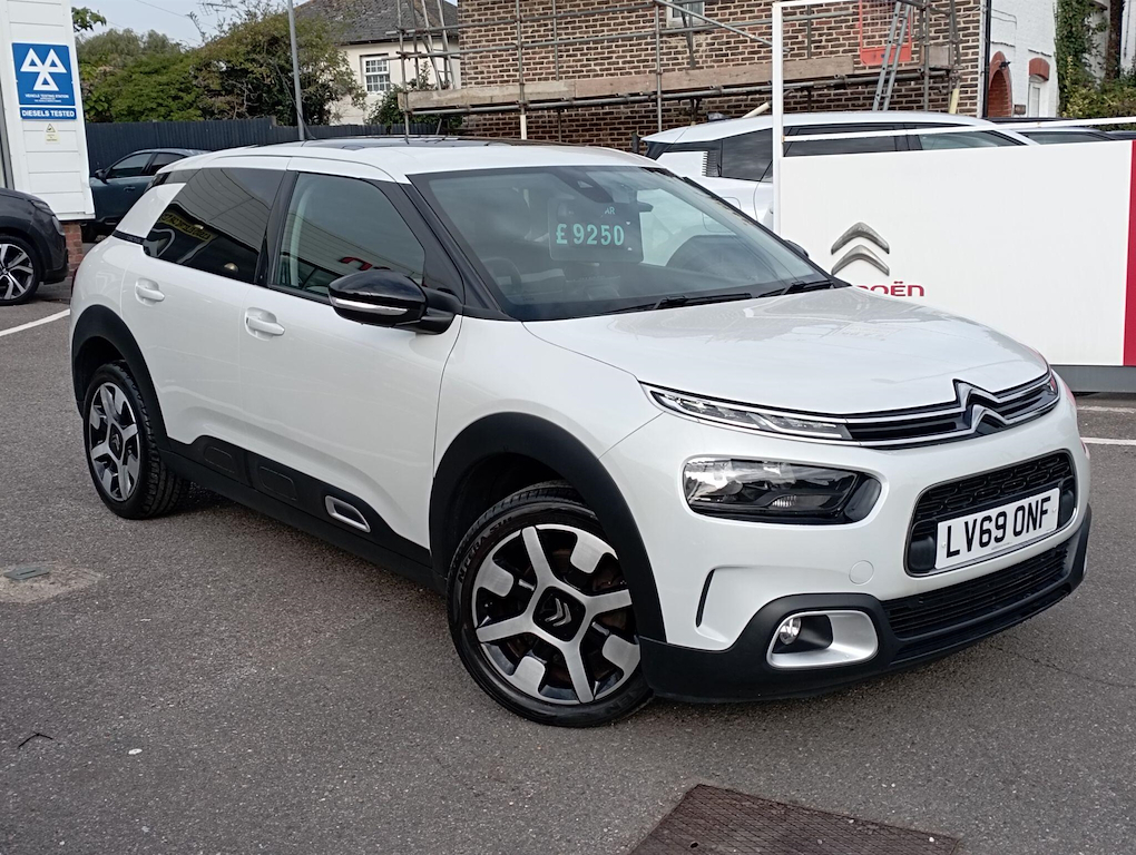 C4 Cactus