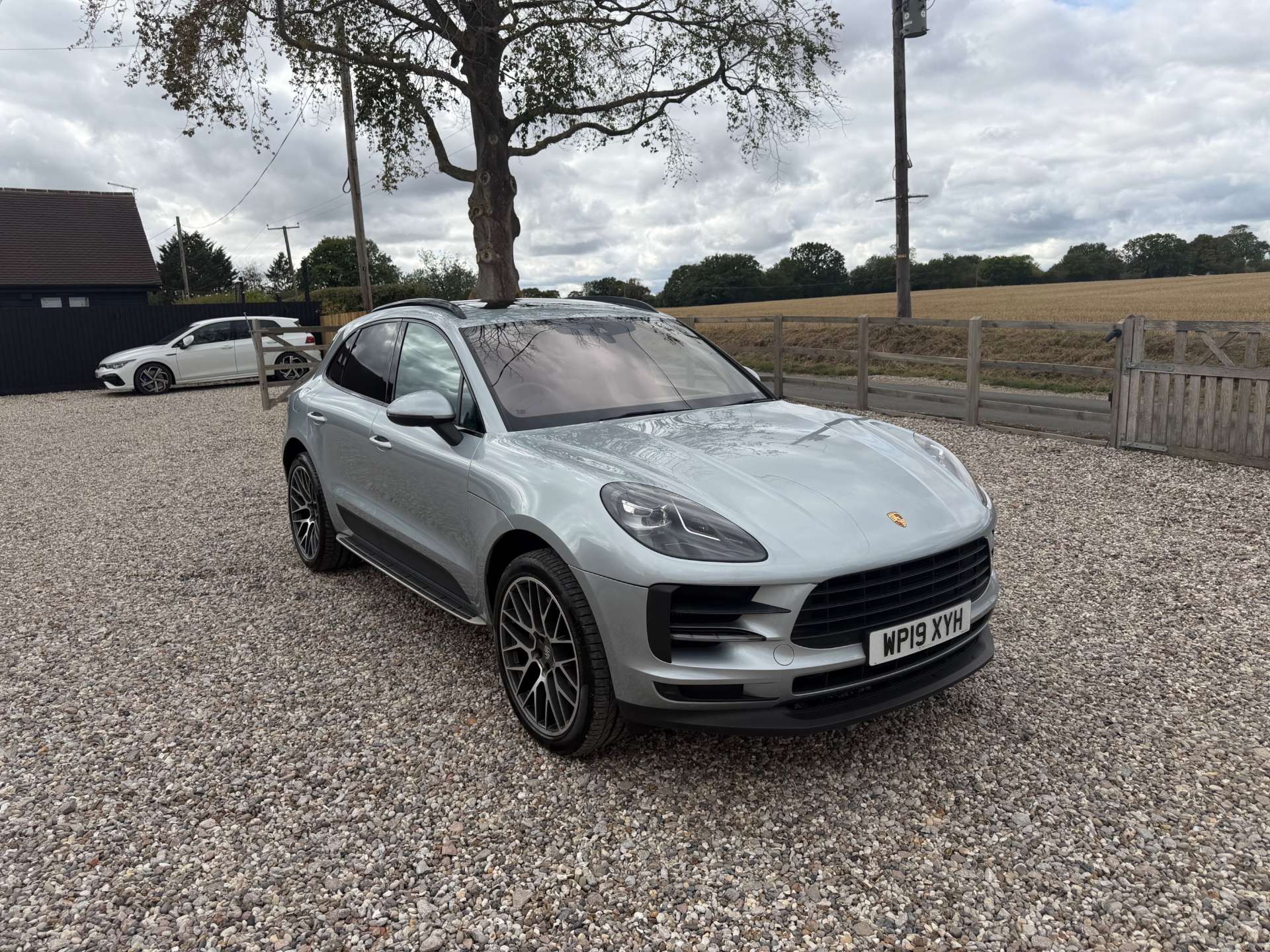 Macan