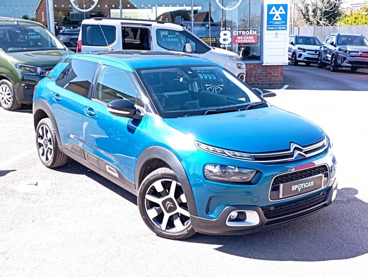 C4 Cactus