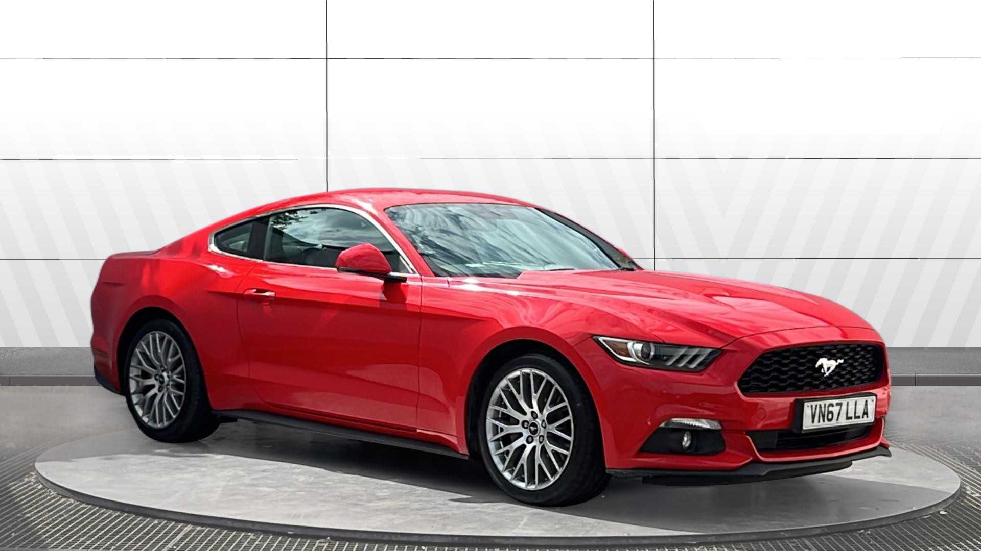 Mustang