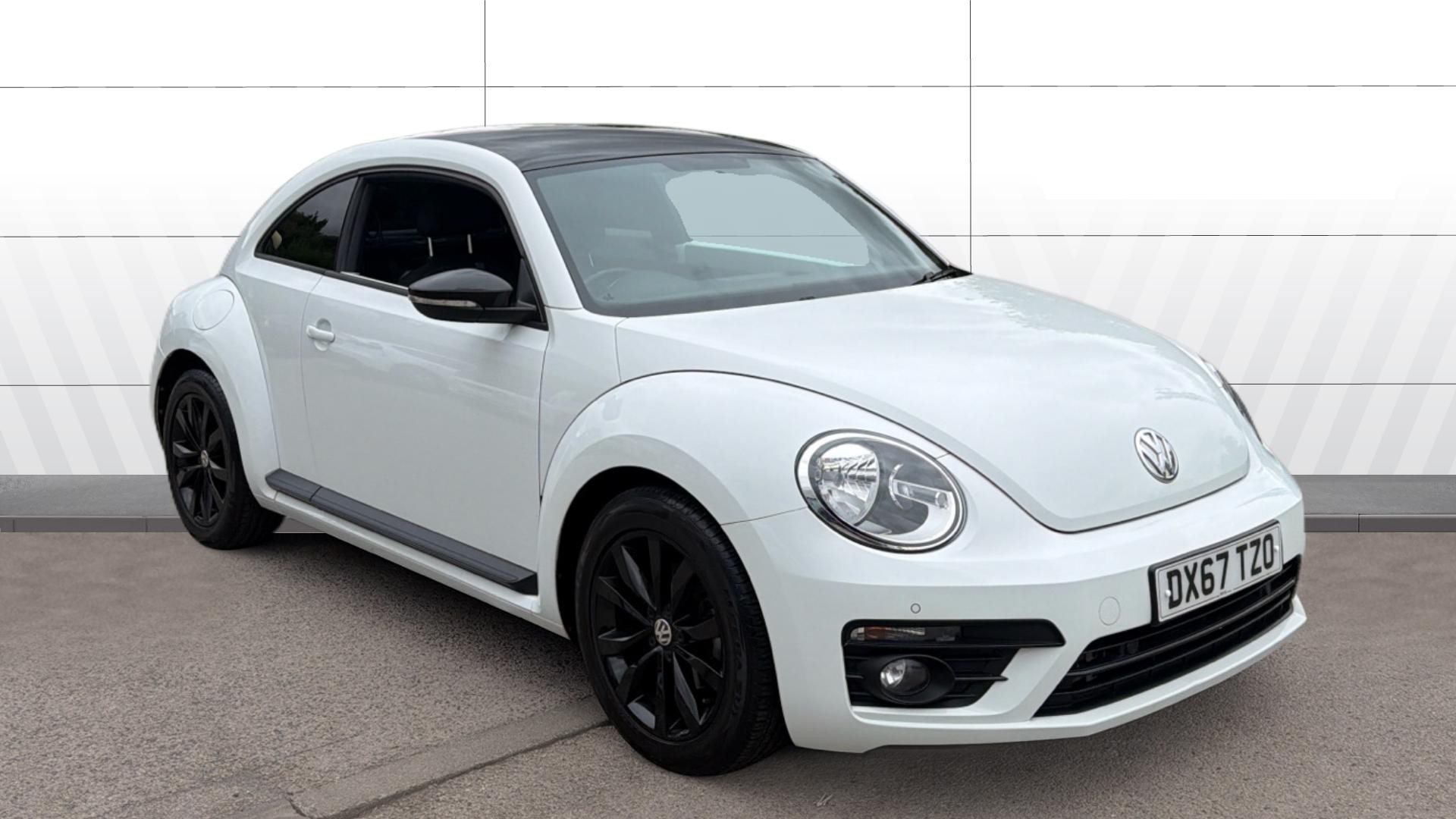 Beetle