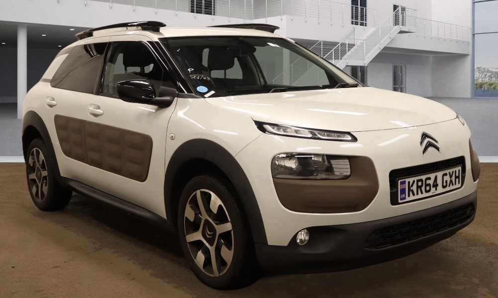 C4 Cactus