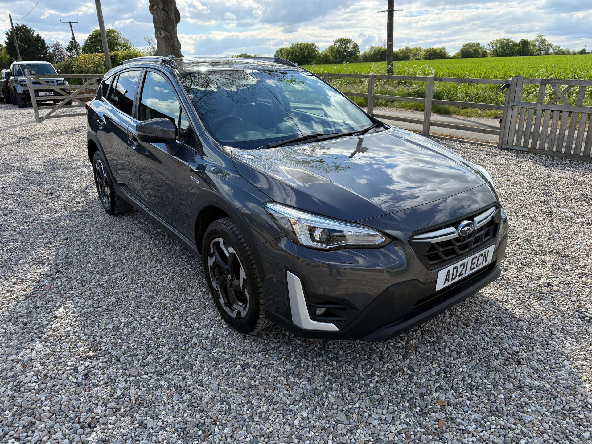 XV