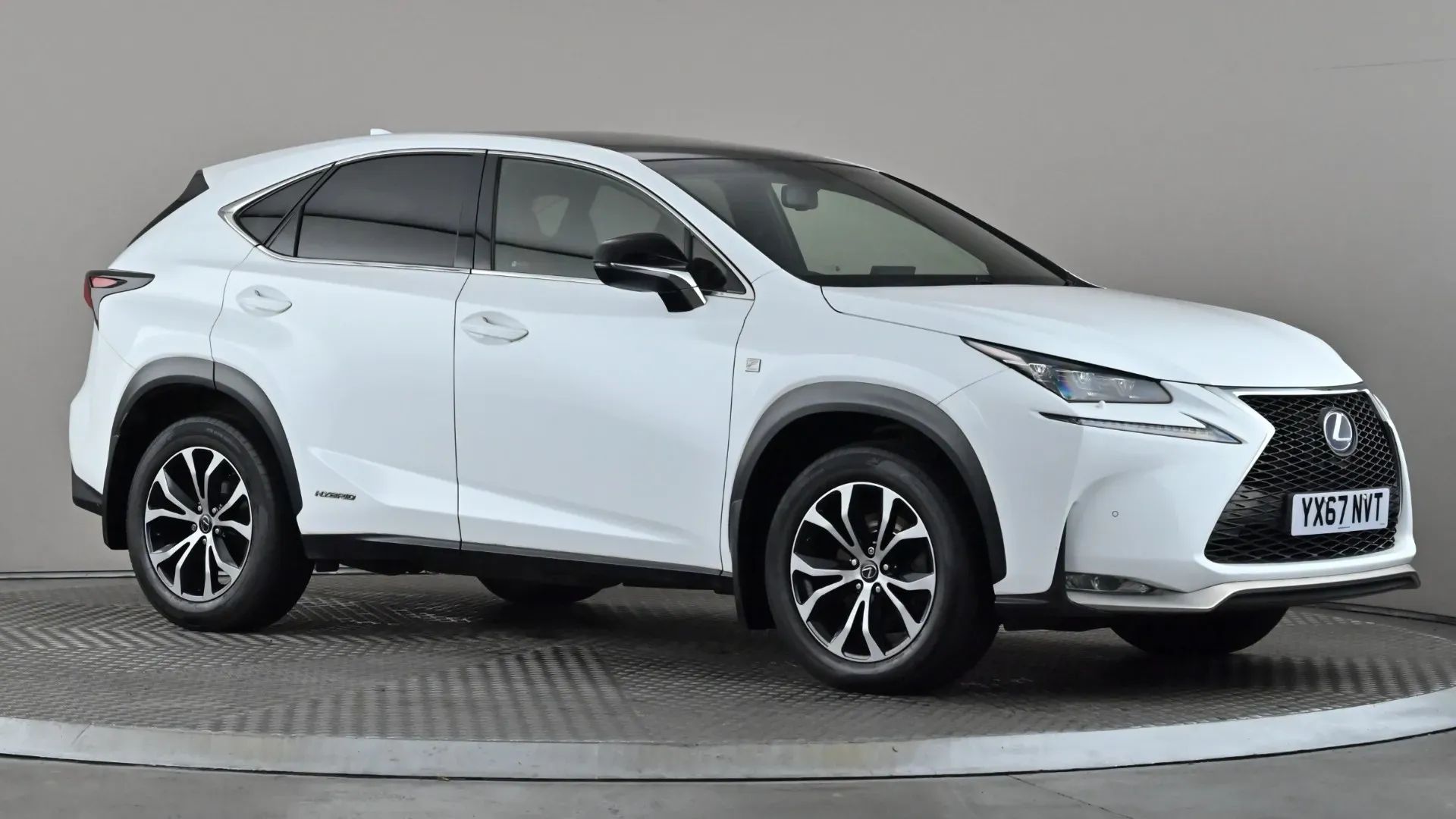 NX Hybrid