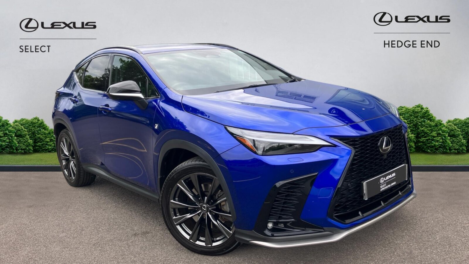 NX Hybrid