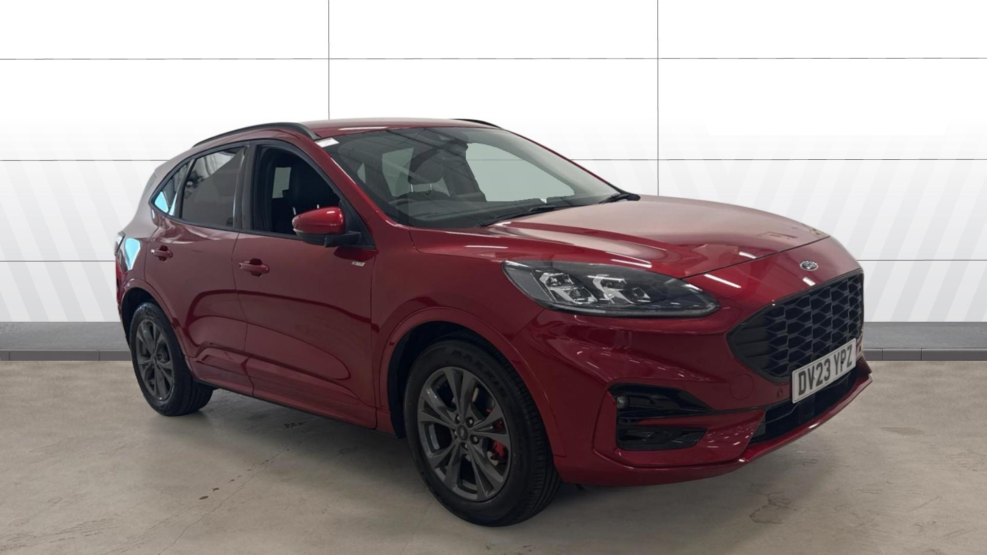 Kuga