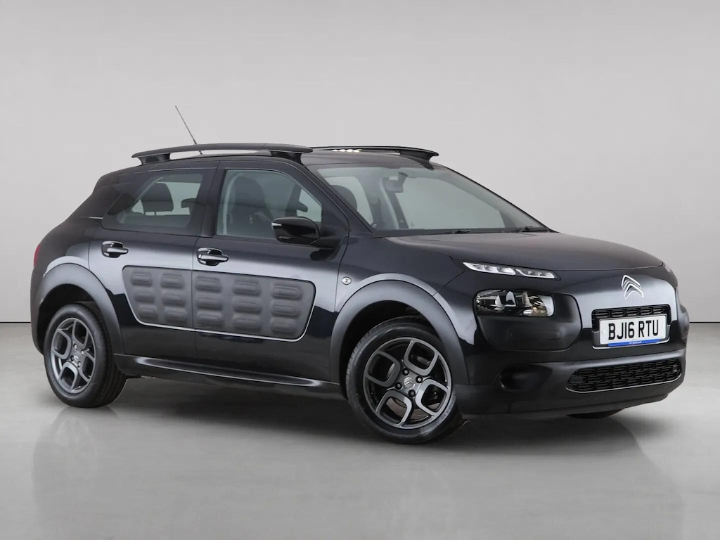 C4 Cactus