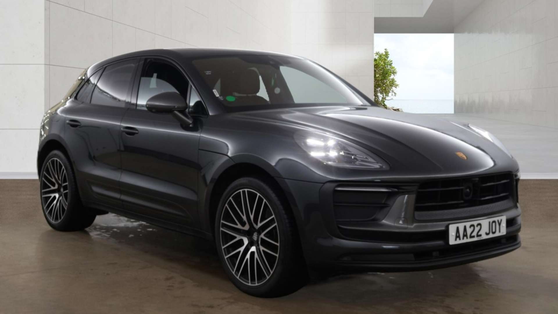 Macan