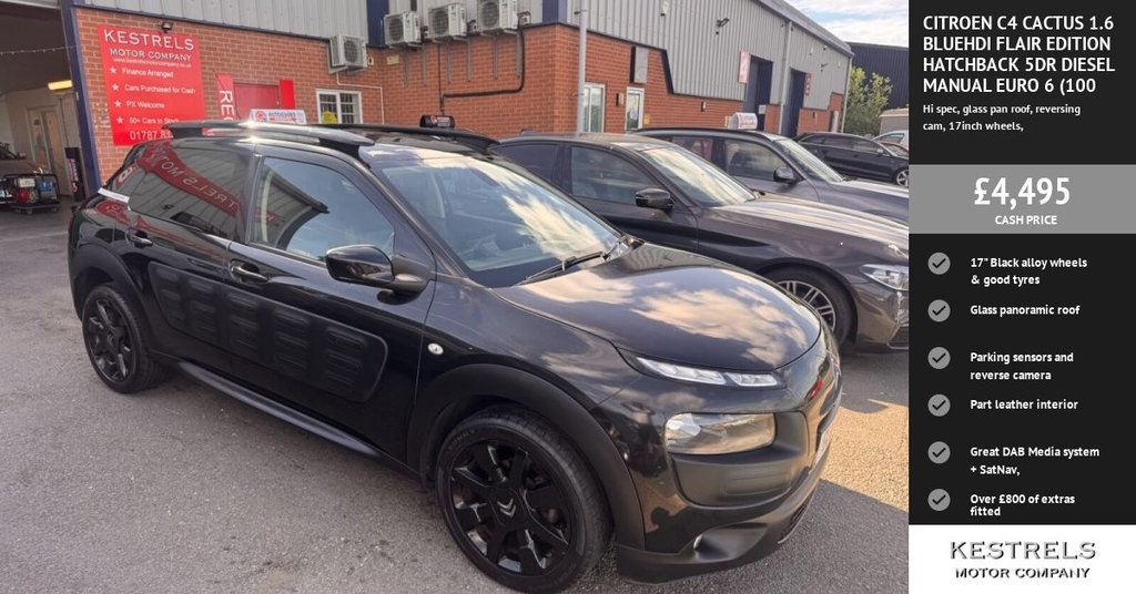 C4 Cactus