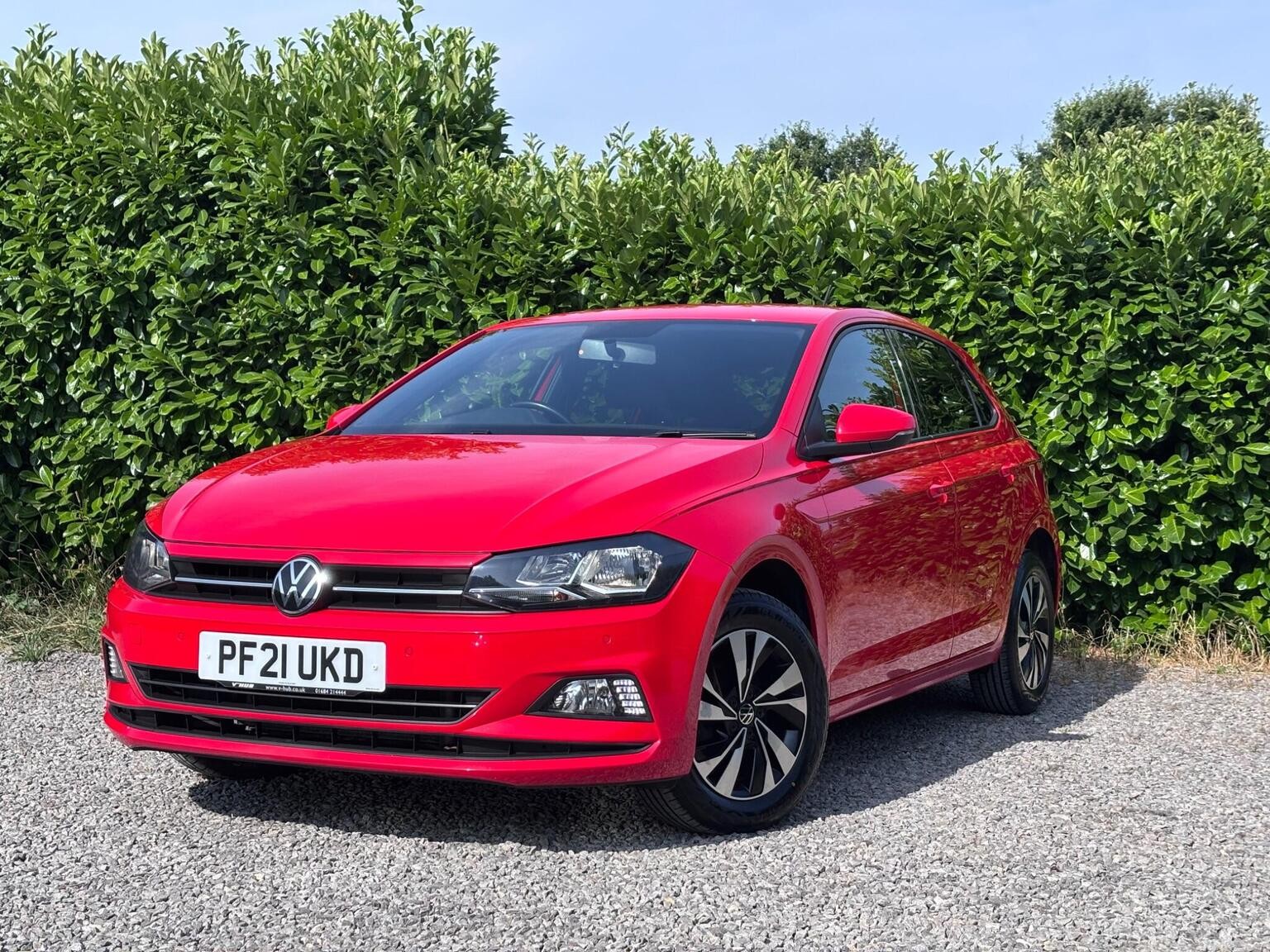 Polo