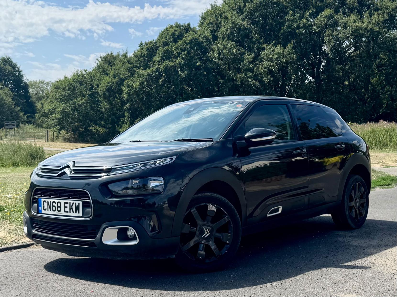 C4 Cactus